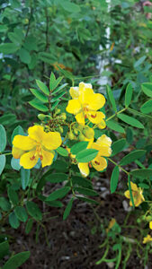 article image -